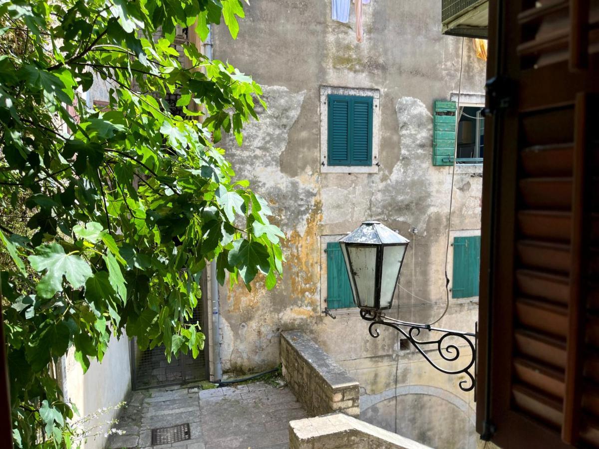 South Gate Apartments 262 كوتور المظهر الخارجي الصورة